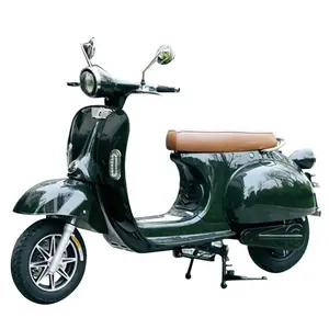 EEC COC Smart Retro Élégant Holland Italien Roma Swan Elektro Cyclomoteur 2000w 72v li-ion batterie Moto Scooter Électrique