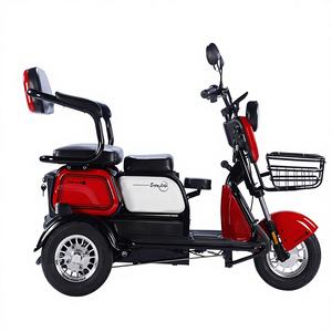 Adult Open-Type <b>Motorized</b> <b>Tricycle</b> with Single Speed and 48V Passenger Seat - Product Image 1
