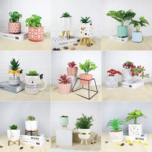 Maceta de porcelana para flores pintadas, maceta de flores para decoración personalizada - Product Image 6