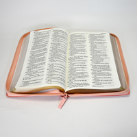 Couverture en cuir personnalisée avec bordure dorée, Santa Biblia Sagrada espagnole, livres bibliques chrétiens avec fermeture éclair