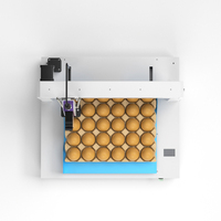Impresora de Huevos Willita Automática de Alta Velocidad con Tinta Comestible de Grado Alimenticio, Diseño Portátil con Bluetooth/Wi-Fi, 3 Huevos por Segundo