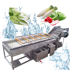 Línea completa de producción de lavado de verduras de hoja, línea de lavado de ensalada de frutas y verduras - Product Image 6