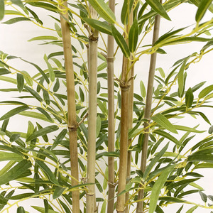 Albero di bambù <span class=keywords><strong>in</strong></span> vaso nero per arredamento Home Office Lucky Money Tree Blooming decorazione albero finto bambù artificiale di lusso - Product Image 5