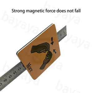 Custom Make <span class=keywords><strong>tema</strong></span>-specifici Multi-sensoriale gioco frigorifero apprendimento della parete carte Flash magnetiche per bambini educativi - Product Image 2