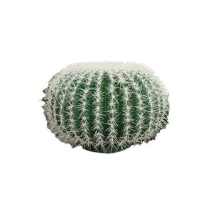 Decoraciones de Cactus Artificiales de 10cm-30cm, Plástico Realista para Interiores y Exteriores, Decoración para Bodas y Hogar - Product Image 4