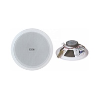 Grille métallique passive pour l'intérieur 3W 6W Haut-parleur de plafond à design plat et fin avec alimentation CA en matière plastique Haut-parleur de plafond