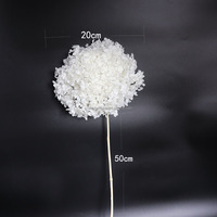 Boule de fleurs d'hortensia naturelles préservées Anna, couleur blanche populaire, pour décoration de mariage, fournitures de fête, centre de table floral