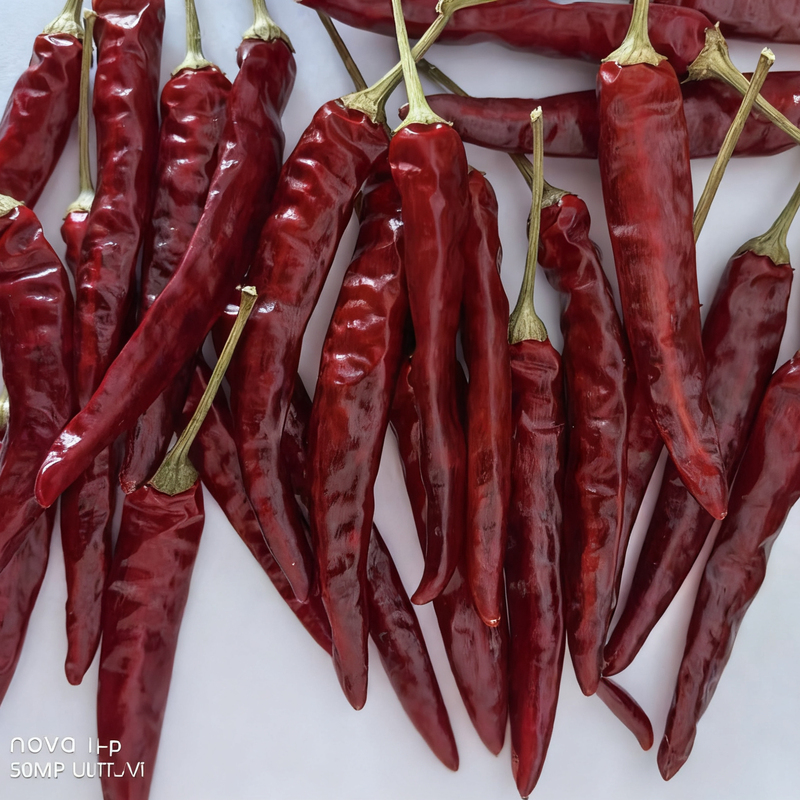 High Quality Chinese Long Red Dry