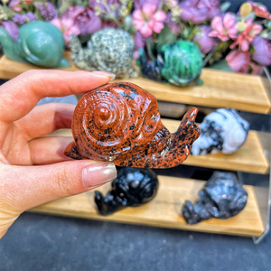 Kindfull, gran oferta, cristales naturales de alta calidad, mezcla de materiales, <span class=keywords><strong>caracol</strong></span> con calaveras para Decoración - Product Image 5