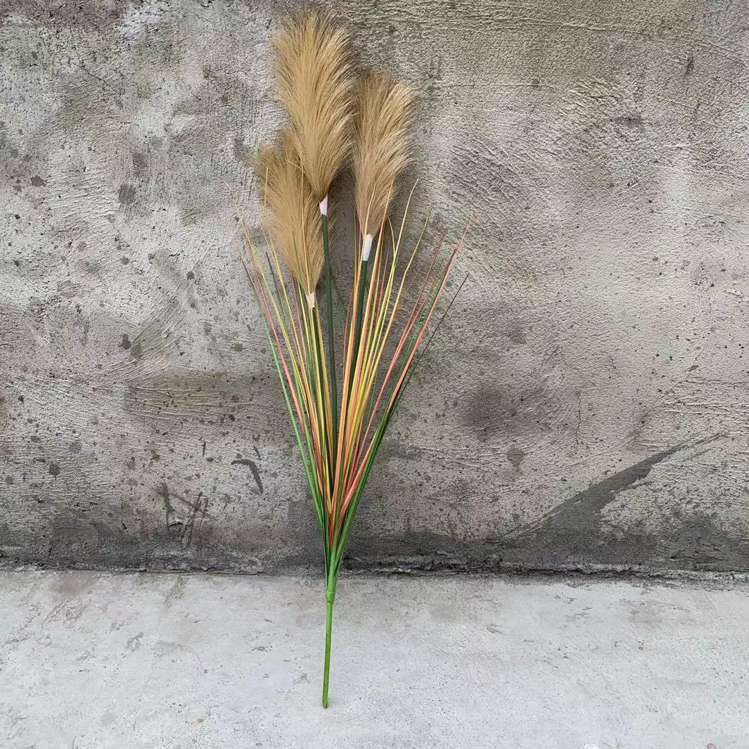 Caqui caña de 3 cabezas