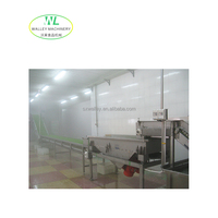 Hotsale Hoge Kwaliteit SUS304 RVS Champignonproductie-apparatuur Automatische Fruit- en Groente IQF Vrieslijn Motor