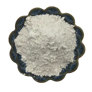 Natürliches weißes Prothesen-Schleif granulat Bimsstein politur Feiner Sand Grobes Bimsstein pulver zum Zahn polieren