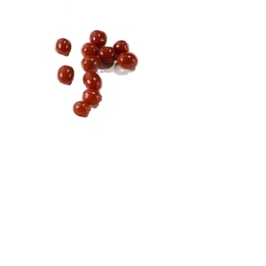 Assiette jetable écologique en bagasse de canne à sucre de 9 pouces, vente en gros, plateau alimentaire biodégradable - Product Image 1