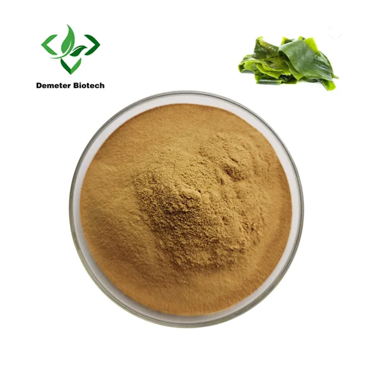 Natuurlijke Laminaria Zeewier Kelp Extract Fucoidan Poeder