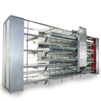 Cages à poulets galvanisées multicouches de haute qualité avec moteur conçu pour l'élevage de poulets, alimentation automatique, longue durée de vie