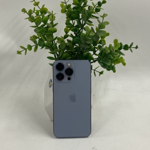<span class=keywords><strong>iPhone</strong></span> 6.1 pouces débloqué d'occasion, grade A, appareil photo 3MP, batterie 120Hz 3095mAh, version US, <span class=keywords><strong>iPhone</strong></span> 13/13 Pro - Product Image 6