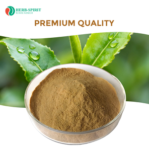 Trà ngay lập tức Kombucha chiết xuất đồ uống rắn hòa tan trong nước OEM Kombucha bột hữu cơ Kombucha trà bột - Product Image 5