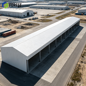 Almacén Comercial Semiabierto Prefabricado de Acero Estructural Resistente a la Intemperie, Sin Columnas, Terminal para Equipo Pesado - Product Image 1