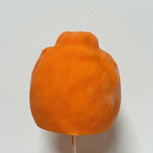 Crème glacée de haute qualité OEM, crème glacée à l'orange certifiée Halal, saveurs variées, boîte, durée de conservation de 18 mois - Product Image 3