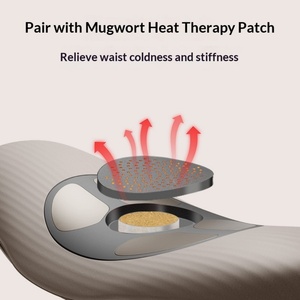 New EMS Pulse Lumbar <b>Massager</b> Home Waist Care Health Nourishing Gadget Model W3 - Product Image 2