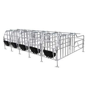 Caja <span class=keywords><strong>de</strong></span> gestación galvanizada duradera para equipo <span class=keywords><strong>de</strong></span> granja, barra <span class=keywords><strong>de</strong></span> posicionamiento <span class=keywords><strong>de</strong></span> Sow - Product Image 2
