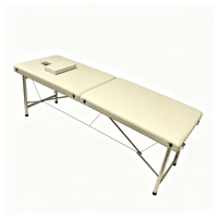 Table de massage portable durable à 2 sections, pieds en acier inoxydable, pliable, lit de beauté pour spa