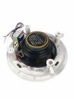 Système audio exclusif haute fidélité 70v 110v 10w 5 pouces haut-parleur de plafond ABS durable suspendu sans fil