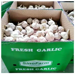 2023 New Crop Chinese Fresh Garlic Normal White And Pure White Garlic Alho Ajo Ail Supply With Wholesale Garlic Price