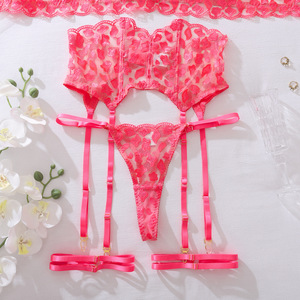 Ensemble de Lingerie Transparente Style Français 4 Pièces Brodé avec Soutien-Gorge Push-Up à Armatures, Ceinture Amincissante, <span class=keywords><strong>Porte</strong></span>-Jarretelles et Culotte – Design Élégant et Sculptant - Product Image 6