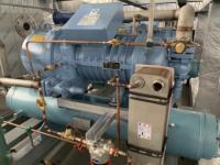 500-2000Kg Vacuüm Vriesdroger Lyofilisator Fruitgroente Verwerkingsmachine Voor Mango Pellet Proteïne Gevriesdroogd Snoep Voor