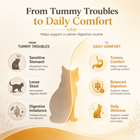 Gouttes Probiotiques pour Chats : Soutien Digestif, Confort Abdominal & Santé Immunitaire – Supplément Liquide Saveur Fruitée