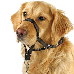 Kangdarpet Profi-Qualität Verhaltenskorrektur Kopfgeschirr & Anti-Zug Nylon-Geschirr Set - Taktisches Trainingszubehör für Arbeitshunde - Product Image 1