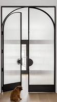 Porte en acier avec porte en verre, design de porte principale, vente chaude