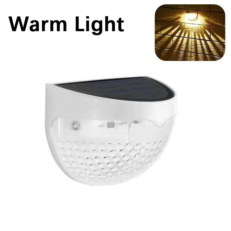 Warm light-White shell