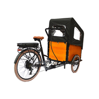 Vélo électrique à trois roues pour adultes, 250W 36V, fabriqué en Chine, avec de grands sièges passager, 20 pouces, vente chaude