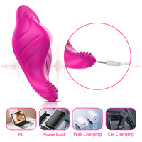 Vibrierender Slip Klitorisstimulation Sexspielzeug Fernbedienung Bullet Unterwäsche Set Masturbator G-Punkt Vaginalvibrator für Frauen
