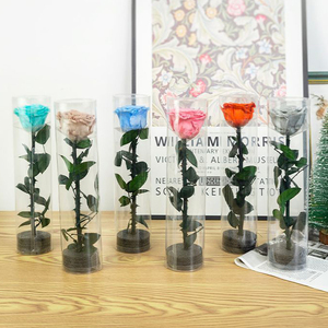 Rosa Preservada Individual con Tallo en Cilindro de PVC Transparente, Flor Eterna para Regalo de San Valentín o Boda, Venta al Por Mayor de Fábrica - Product Image 1