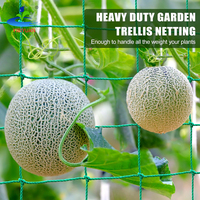 Zware Groene Tuin Trellis Netting Voor Klimplanten Buitenplant Gaas Plastic Voor Komkommers Tomaten Fruit