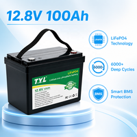 Paket Baterai Ion Lithium Prismatik T.Y.L Power Station Stable Solar Storage Ion Cell Pack BMS Kapasitas Tinggi Pengeluaran Daya 12.8V 100ah