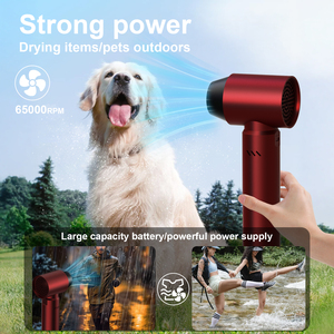 Ventilateur turbo portatif haute vitesse avec lumière pour voiture, clavier d'ordinateur et extérieur, idéal pour hôtels et souffleur de neige puissant - Product Image 6