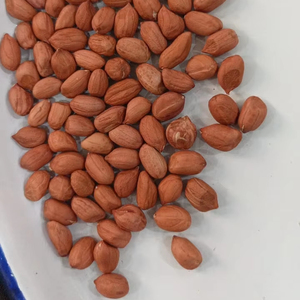 Chất lượng cao xuất khẩu lớp rang đậu phộng khô lạc Snack thực phẩm bơ đậu phộng sản xuất nguyên liệu chế biến số lượng lớn Nhà cung cấp - Product Image 1