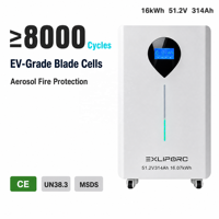 Sistem Baterai Surya Hibrida Grid 16kWh 51.2V 314Ah LiFePO4 8000 Siklus Perlindungan Kebakaran Aerosol BMS