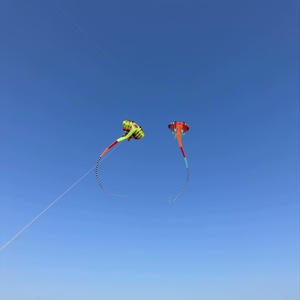 Cerf-volant gonflable doux 3D bicolore, étanche et indéchirable pour les activités de plage en plein air avec les parents et les enfants - Product Image 6