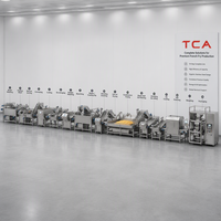 Industriële productielijn voor frites van TCA, SUS304 automatische aardappelchipsverwerkingsinstallatie voor snackfabrieken, bulk.