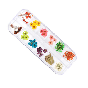 Noël nouvelle arrivée fleur sèche pour la décoration des ongles - Product Image 1