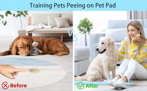 แผ่นรองซับฉี่สัตว์เลี้ยงแบบใช้แล้วทิ้ง คุณภาพสูง ขายส่งจากโรงงาน ซึมซับดีเยี่ยม ผลิตจากเยื่อฟลัฟฟ์ มีตัวอย่างฟรี รับผลิตแบบ OEM - Product Image 5