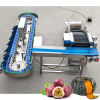 Hoge capaciteit gewichtssorteermachine 160-280 tot 280 stuks per minuut voor grote fruitverwerkingsfabriek