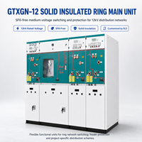 Unidad de Anillo de Distribución Aislada Sólida sin SF6 GTXGN-12 12kV, Corriente 25kA/31.5kA, Protección IP67 para Redes de Distribución Eléctrica Urbana