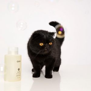 Champú <span class=keywords><strong>Profesional</strong></span> para Mascotas, Fórmula de Limpieza Suave, Aroma Mercer Street, para Perros y Gatos, para Limpieza Diaria - Product Image 4