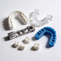 Impression 3D dentaire personnalisée, résine de titane SLM, modèle de dents de précision, modèle de bouche, plastique ASA, couleur OEM ODM, fabricant, fournisseur d'usine